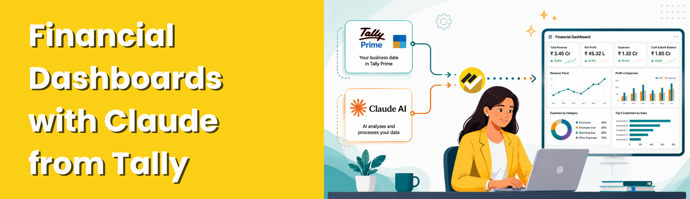 Financial Dashboards with Claude from Tally
