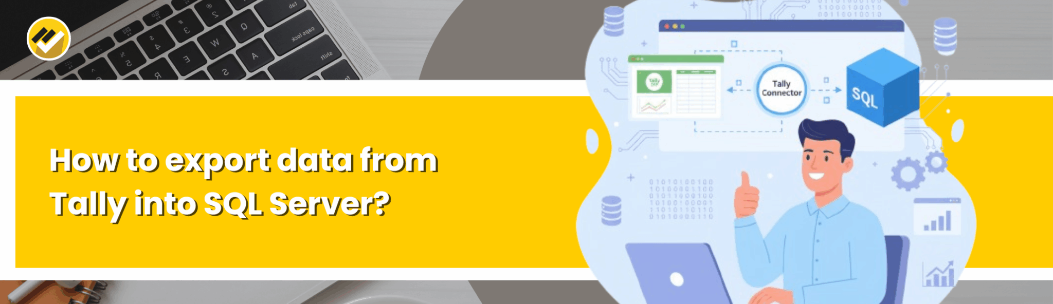 How to export data from Tally into SQL Server?